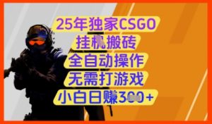 25年独家CSGO挂G搬砖，全自动操作，无需打游戏，小白日入3张+【揭秘】-每日必学网