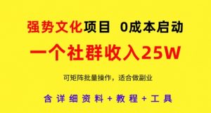 强势文化项目，一个社群收入25个W，0成本启动，可矩阵批量操作，原创详细实操教程-每日必学网
