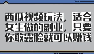 西瓜视频玩法，适合女生做的副业，只要你敢露脸就有收益-每日必学网