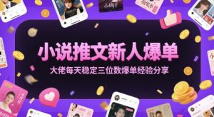 小说推文新人爆单大佬每天稳定三位数爆单经验分享-每日必学网