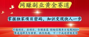 网创副业黄全赛道，掌握独家项目密码，知识变现快人一步，告别韭菜轻松实现单日变现1k+【揭秘】-每日必学网