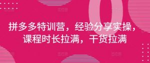 拼多多特训营，经验分享实操，课程时长拉满，干货拉满(更新25年4月)-每日必学网
