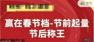 赢在春节档-节前起量，后称王，淘系精品线上系列课-每日必学网