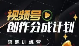 视频号创作分成计划陪跑训练营，手把手教会你如何制作视频，细水长流型项目-每日必学网