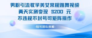 男粉引流教学美女常规跳舞视频两天实测变现1k+，不违规不封号可矩阵操作-每日必学网