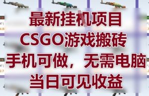 最新挂G项目，CSGO游戏搬砖，手机可做，无需电脑，当日见收益【揭秘】-每日必学网