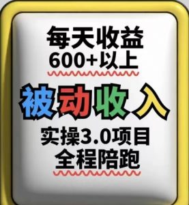 被动收入实操3.0项目，每天收益6张+以上，能长期操作-每日必学网
