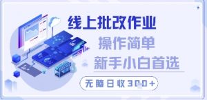 线上批改作业，操作简单新手小白首选，无脑日收300+【揭秘】-每日必学网
