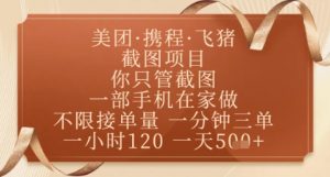 飞猪美团截图项目，你只管截图，一部手机在家做，正规平台无套路，一天5张+【揭秘】-每日必学网