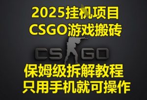 2025挂G项目，CSGO游戏搬砖，保姆级拆解教程，只用手机就可操作【揭秘】-每日必学网