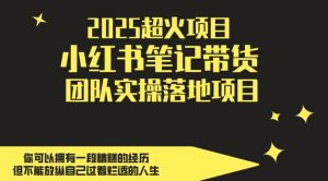 2025超火项目，副业最佳选择，小红书笔记带货团队实操落地项目，，轻松日入5张-每日必学网