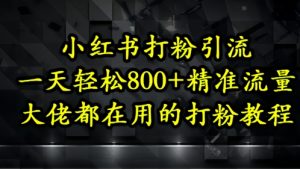 小红书打粉引流，一天轻松500+精准流量，大佬都在用的打粉教程-每日必学网