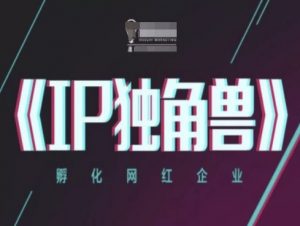 IP独角兽，孵化网红企业，ip教程-每日必学网