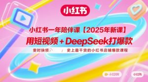 小红书一年陪伴课【2025年新课】，用短视频+deepSeek打爆款，史上最干货的小红书店铺爆款课程-每日必学网