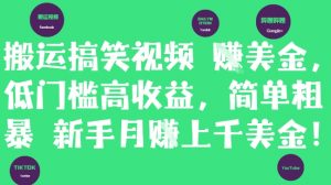 搬运搞笑视频挣美金，低门槛高收益，简单粗暴新手月入上千美刀-每日必学网