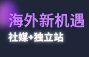 2025出海新机遇(社媒+独立站)，海外新机遇，实现独立站的高效运营与出海-每日必学网