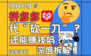 【2025最新】拼多多代坎助力项目深度拆解：还能挣钱吗?全流程玩法-每日必学网