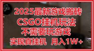 2025最新游戏搬砖，CSGO挂G，不需要玩游戏，实现真挂G，月入1W+【揭秘】-每日必学网