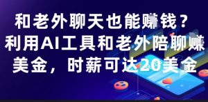和老外聊天也能挣钱？利用AI工具和老外陪聊挣美金，时薪可达20刀-每日必学网