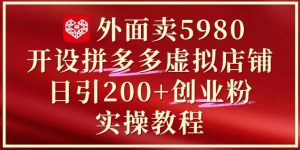 外面卖5980开设拼多多虚拟店铺：单日引流200+创业付费粉实战教程-每日必学网