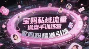 宝妈私域流量操盘手训练营，宝妈粉精准引流-每日必学网