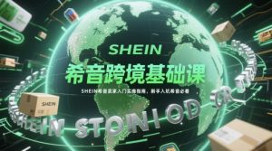 希音跨境基础课，SHEIN希音卖家入门实操指南，新手入坑希音必看-每日必学网