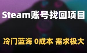 Steam账号找回项目，冷门蓝海，0成本，需求极大-每日必学网