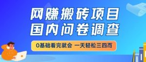 网创搬砖项目，国内问卷调查，小白轻松上手，一天三四张的也不难，干就完了【揭秘】-每日必学网