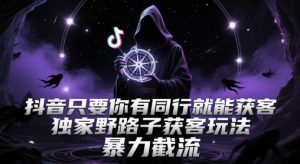 抖音只要你有同行就能获客，独家野路子获客玩法，暴力截流【揭秘】-每日必学网