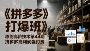 《拼多多打爆班》原创高阶技术第44期，拼多多高利润强付费-每日必学网