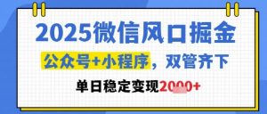 2025微信风口掘金，公众号+小程序双管齐下，单日稳定变现1k+【揭秘】-每日必学网