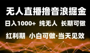 无人直播撸音浪掘金，日入1k+，纯无人红利期，小白可做，当天见效【揭秘】-每日必学网
