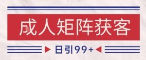 小红书某音橙人赛道引流获客，自热矩阵日引200+【揭秘】-每日必学网