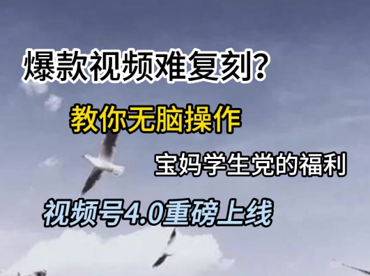 久爱副业网,网赚项目,网赚论坛博客网分享视频号4.0重磅上线，爆款视频难复刻？教你无脑操作宝妈学生党的福利【揭秘】