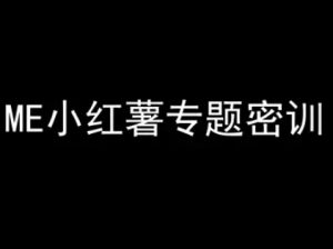 ME小红薯专题密训-小红书电商教程-每日必学网