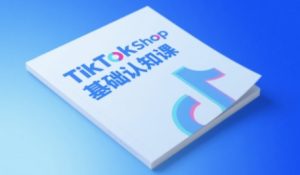 TikTok小店基础认知课，助力学员从 0 到 1 掌握 TikTok 电商运营全链路认知-每日必学网