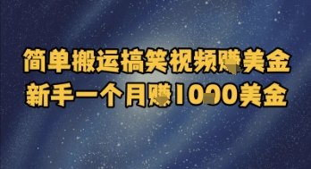 久爱副业网,网赚项目,网赚论坛博客网分享简单搬运搞笑视频挣美金，新手一个月入1k美金