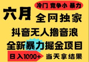 25年6月高爆抖音无人直播最新撸音浪掘金项目，小白可做，无脑日入1k+，门槛低可批量矩阵【揭秘】-每日必学网