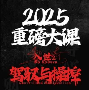 2025重磅大课,入世2,驾驭与控制-每日必学网