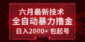 六月最新技术全自动暴力撸金，稳定日入2k+包起号，长期稳定【揭秘】-每日必学网