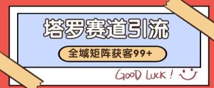 小红书某音塔罗赛道引流获客 自热矩阵日引200+【揭秘】-每日必学网