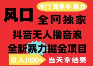 25年6月高爆抖音无人直播最新撸音浪掘金项目，解放双手小白可做，无脑日入1k+，门槛低【揭秘】-每日必学网