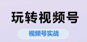 玩转视频号，视频号实战系列课-每日必学网