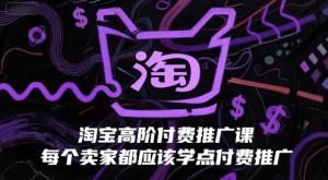 淘宝高阶付费推广课，每个卖家都应该学点付费推广-每日必学网