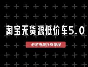 淘宝无货源2025VIP教程，​最新的淘宝无货源课程，1688代发，蓝海选品，零成本创业首选-每日必学网