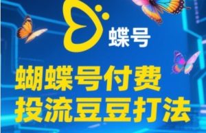 2025蝴蝶号付费投流豆豆打法，助新手快速掌握付费流量撬动自然流的核心玩法-每日必学网