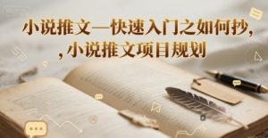 小说推文—快速入门之如何抄 ，小说推文项目规划-每日必学网