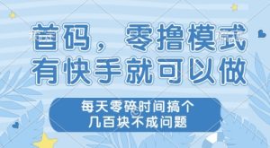 首码零撸项目，有快手就可以做，每天业务时间搞个几张不是问题【揭秘】-每日必学网