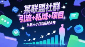 某联盟社群，引流+私域+项目，从新人小白到私域大神-每日必学网