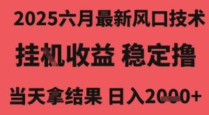 2025六月最新风口技术，无人挂G撸礼物，长期稳定 一个小时收益2k+，小白当天拿结果【揭秘】-每日必学网